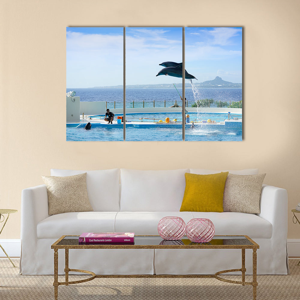 Okinawa, Japan - October 22, 2016: Dolphin Show at Okinawa ocean expo park multi panel canvas wall art