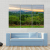 Lush jungle and dramatic sunset in Democratic Republic of Congo Multi panel canvas wall art