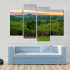 Lush jungle and dramatic sunset in Democratic Republic of Congo Multi panel canvas wall art