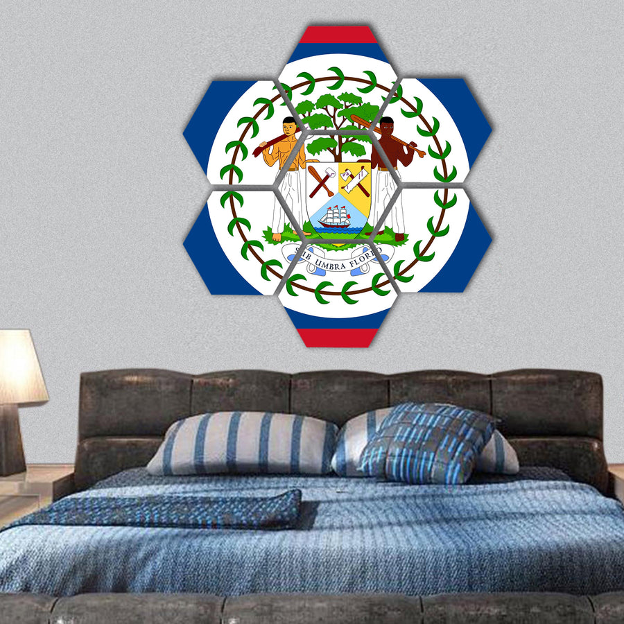 Flag of Belize hexagonal canvas wall art