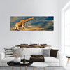 Giraffe walking on a sand dune with clouds, South Africa panoramic canvas wall art