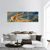 Giraffe walking on a sand dune with clouds, South Africa panoramic canvas wall art