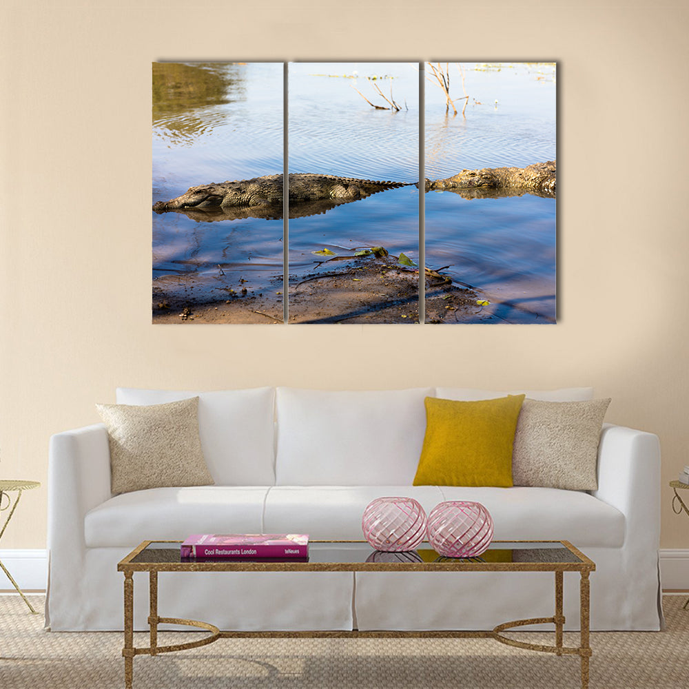 Sacred crocodile in Sabou, Burkina Faso, Africa Multi panel canvas wall art