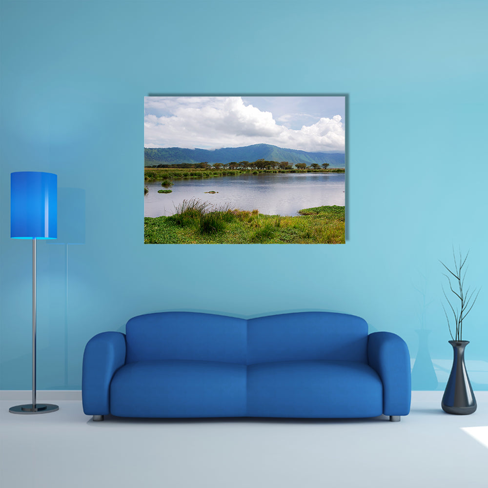 The beauty of nature near Lake Manyara with hippos multi panel canvas wall art