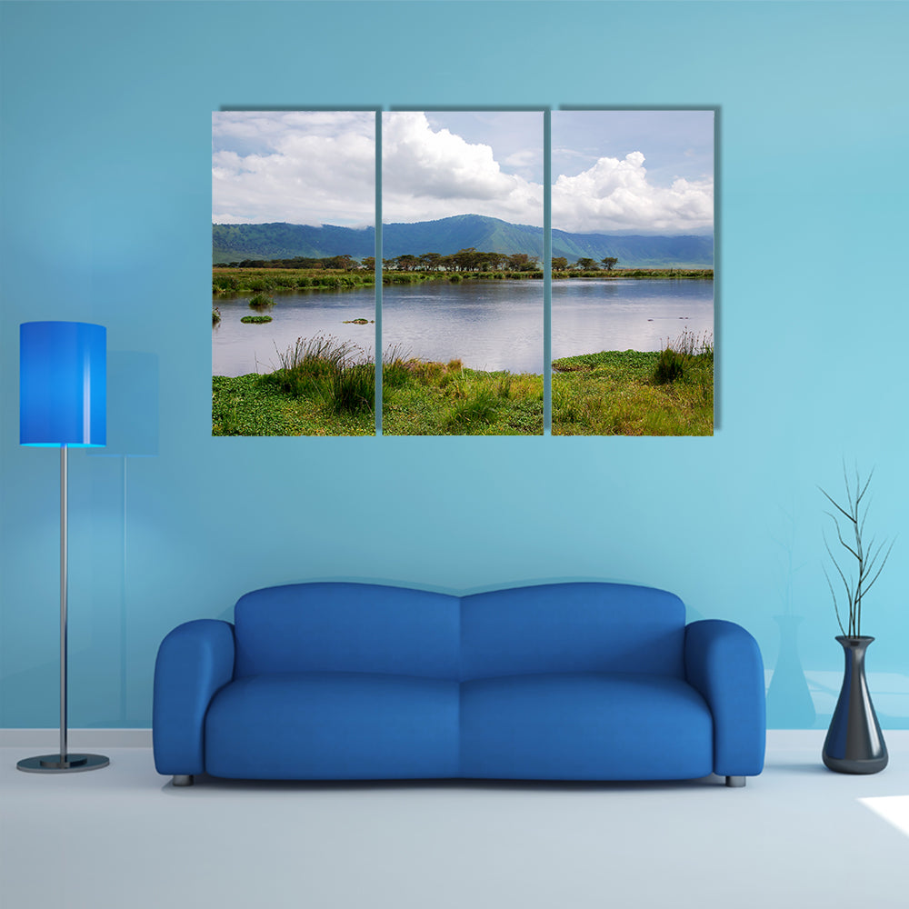 The beauty of nature near Lake Manyara with hippos multi panel canvas wall art