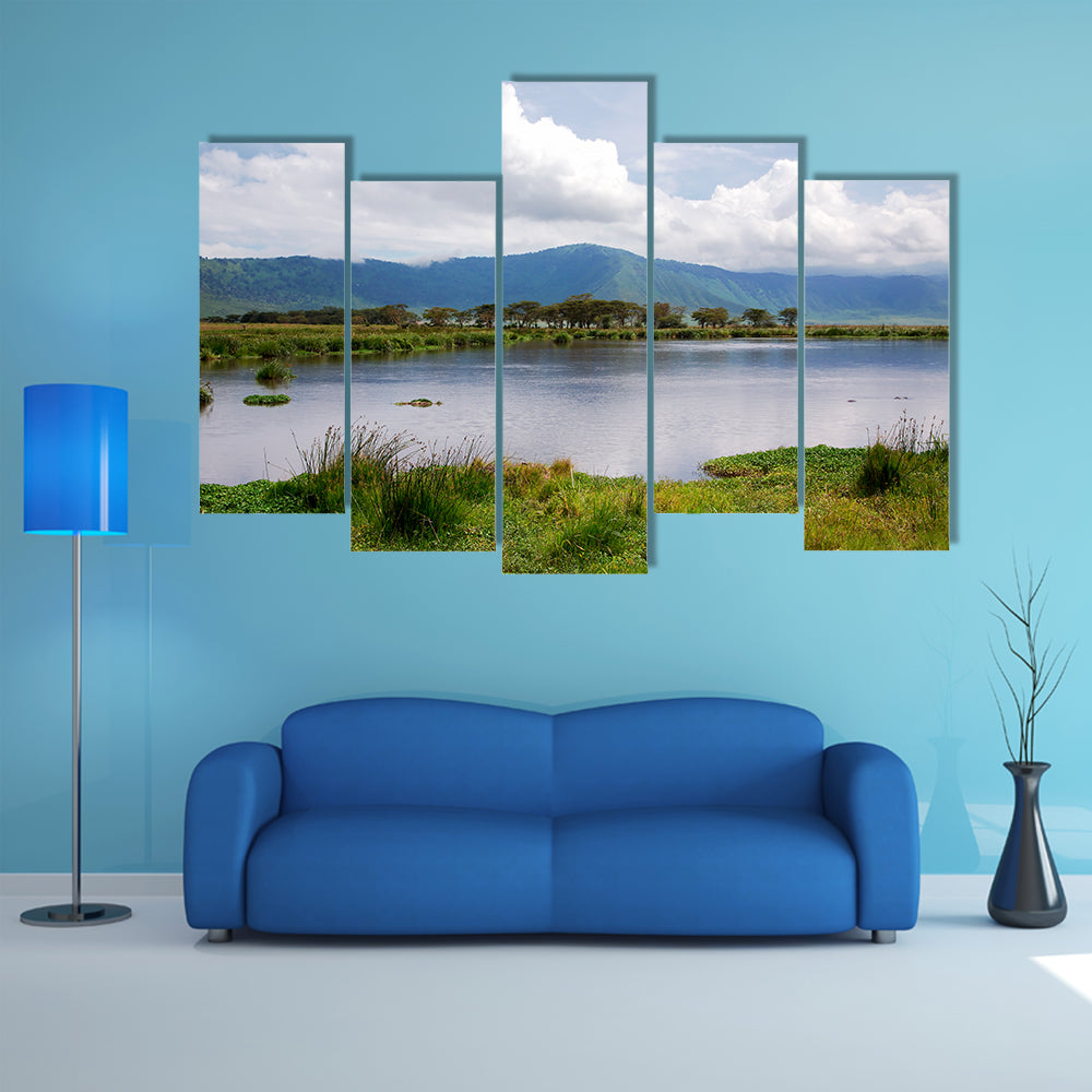 The beauty of nature near Lake Manyara with hippos multi panel canvas wall art
