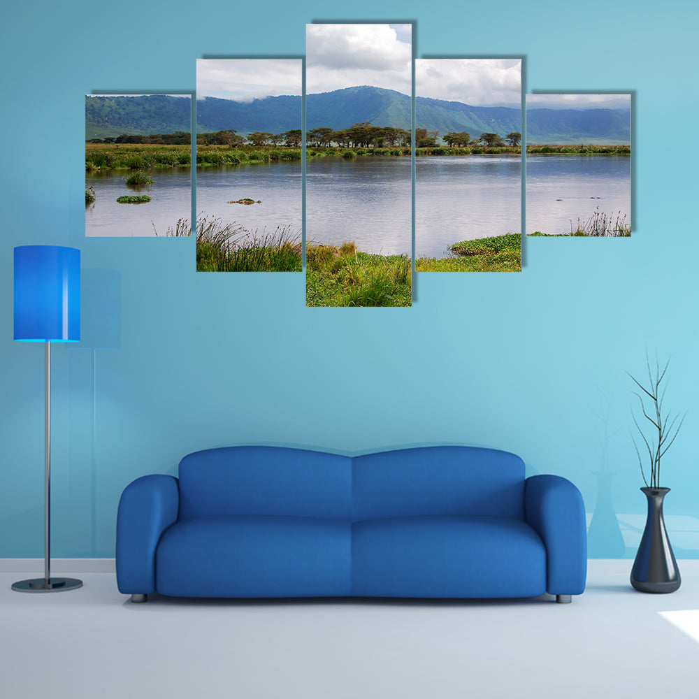 The beauty of nature near Lake Manyara with hippos multi panel canvas wall art