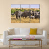 Group of elephants standing in the wild bush of Africa. multi panel canvas wall art