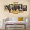 Group of elephants standing in the wild bush of Africa. multi panel canvas wall art