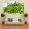 Lines of northwest Vietnam's most rugged Pass with beautiful winding Multi panel canvas wall art