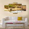 Dreamy scene of common South African safari wildlife animals together at sunset Multi panel canvas wall art