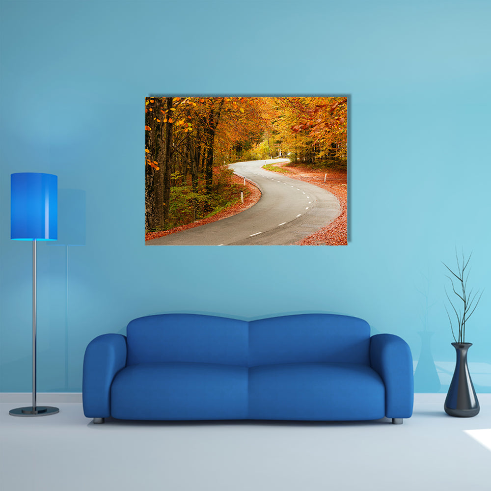 A Curved Road In The Autumnal Forest In The Slovenia Multi Panel Canvas Wall Art