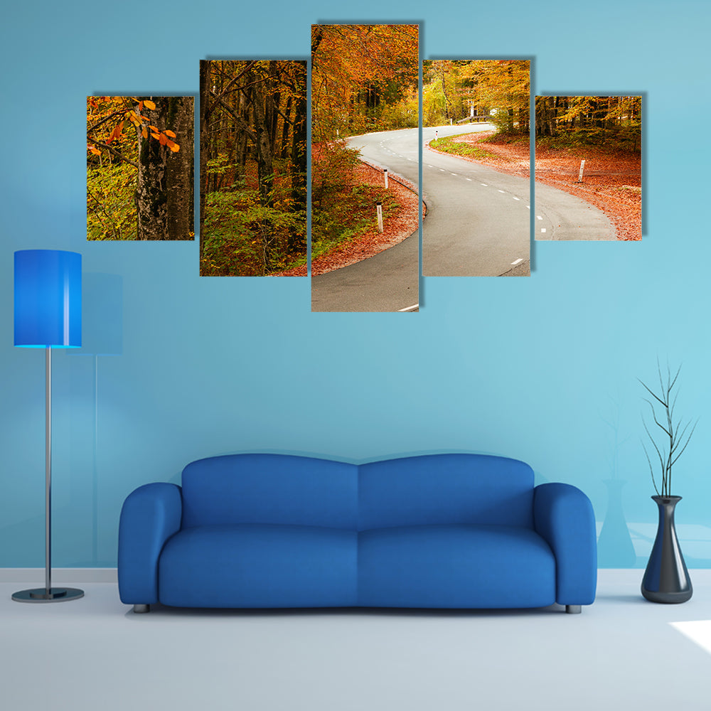 A Curved Road In The Autumnal Forest In The Slovenia Multi Panel Canvas Wall Art