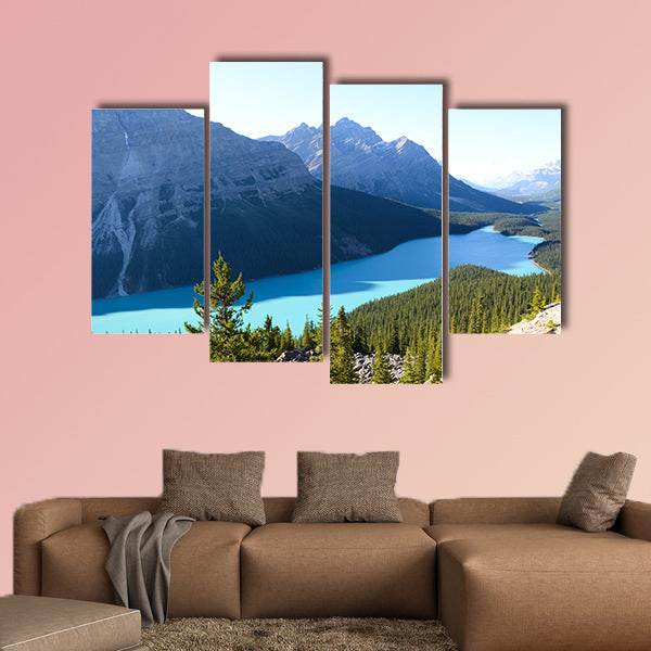 PEYTO Lake in Autumn, Canadian Rockies Multi panel canvas wall art