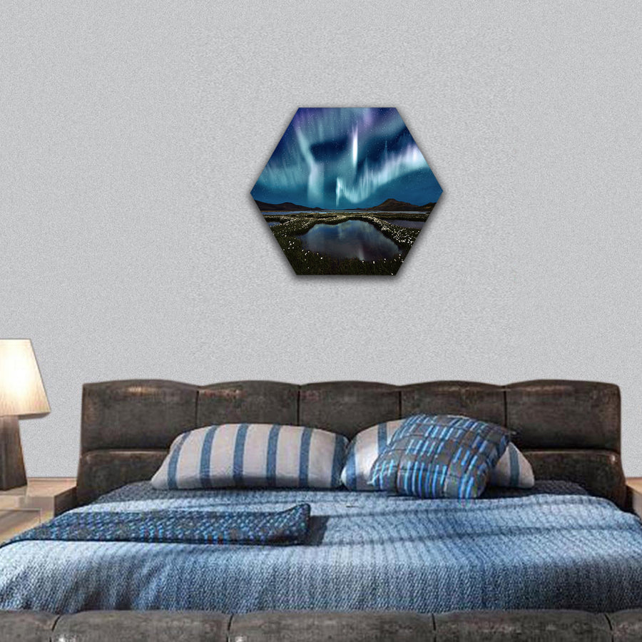 Illuminated face of the Earth in space hexagonal canvas wall art