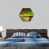 Aurora Borealis glows over a frozen lake hexagonal canvas wall art