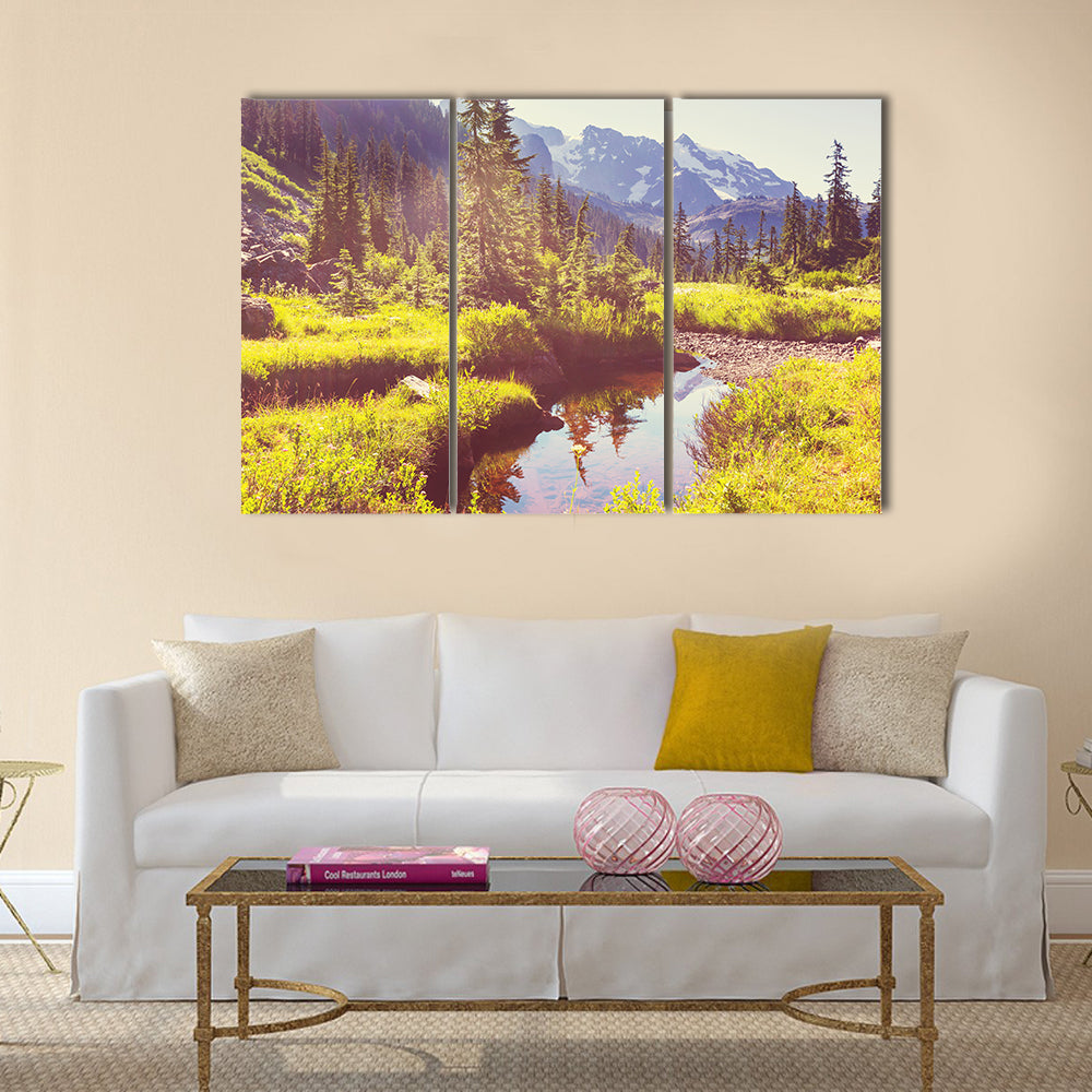 Mt. Baker recreation area, Washington, USA Multi Panel Canvas Wall Art
