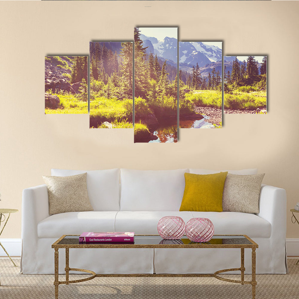 Mt. Baker recreation area, Washington, USA Multi Panel Canvas Wall Art