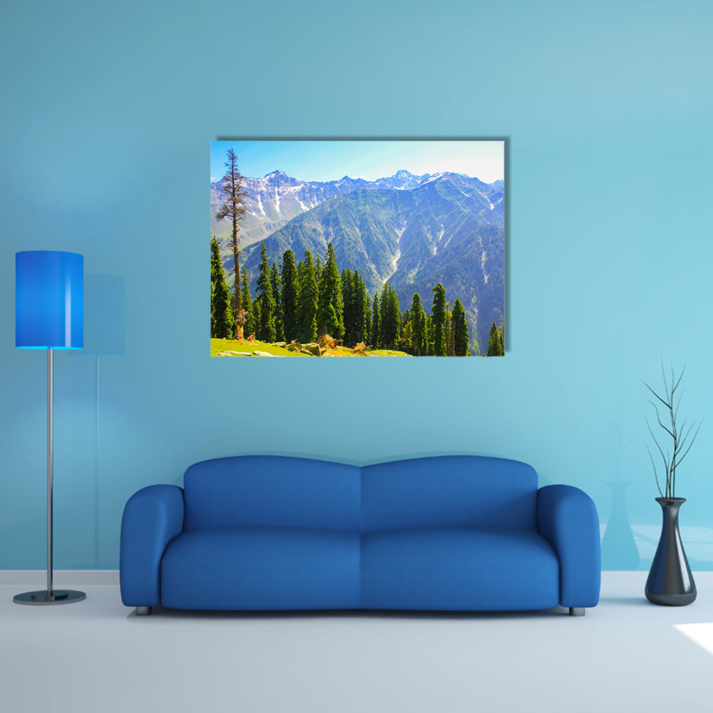 mountain valley covered pine forest multi panel canvas wall