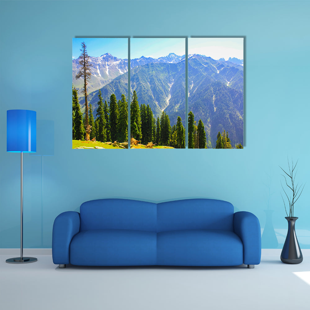 mountain valley covered pine forest multi panel canvas wall