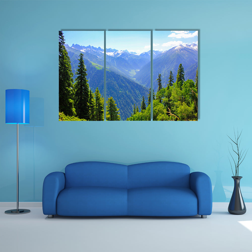 view of Mountain valley covered pine forest multi panel canvas wall art