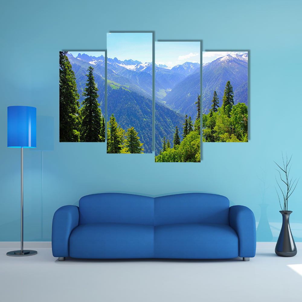 view of Mountain valley covered pine forest multi panel canvas wall art