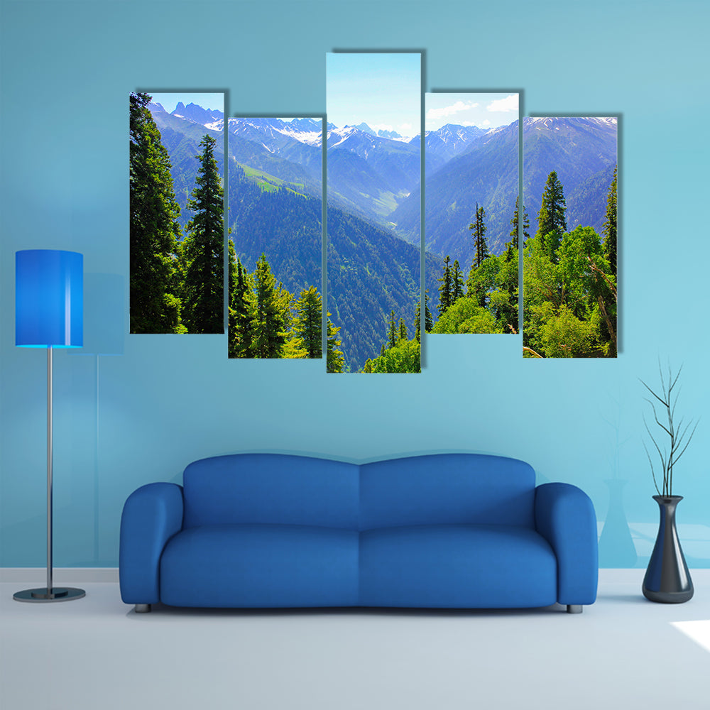 view of Mountain valley covered pine forest multi panel canvas wall art