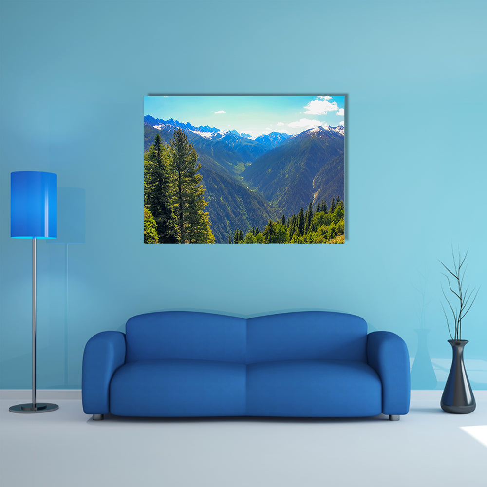 The most beautiful mountain valley covered pine forest multi panel canvas wall art