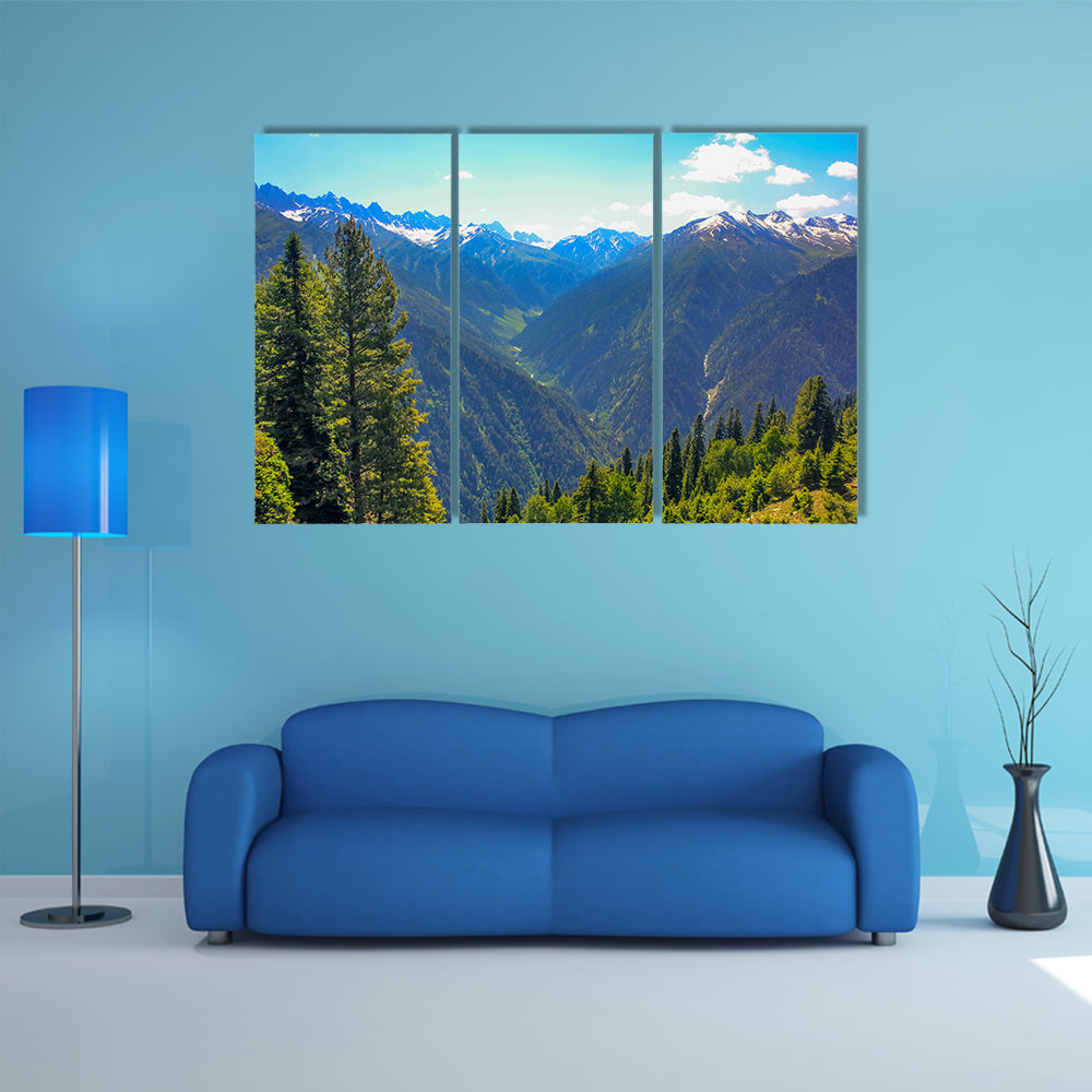 The most beautiful mountain valley covered pine forest multi panel canvas wall art