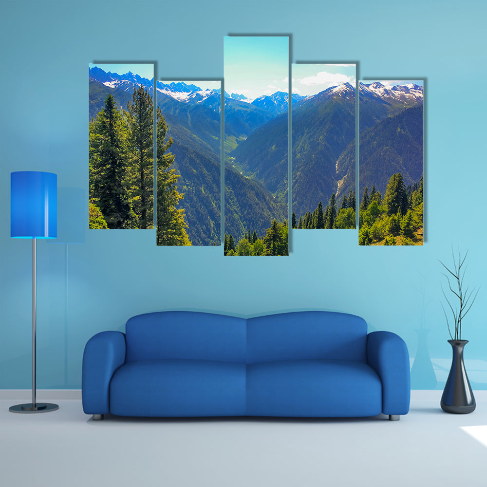 The most beautiful mountain valley covered pine forest multi panel canvas wall art