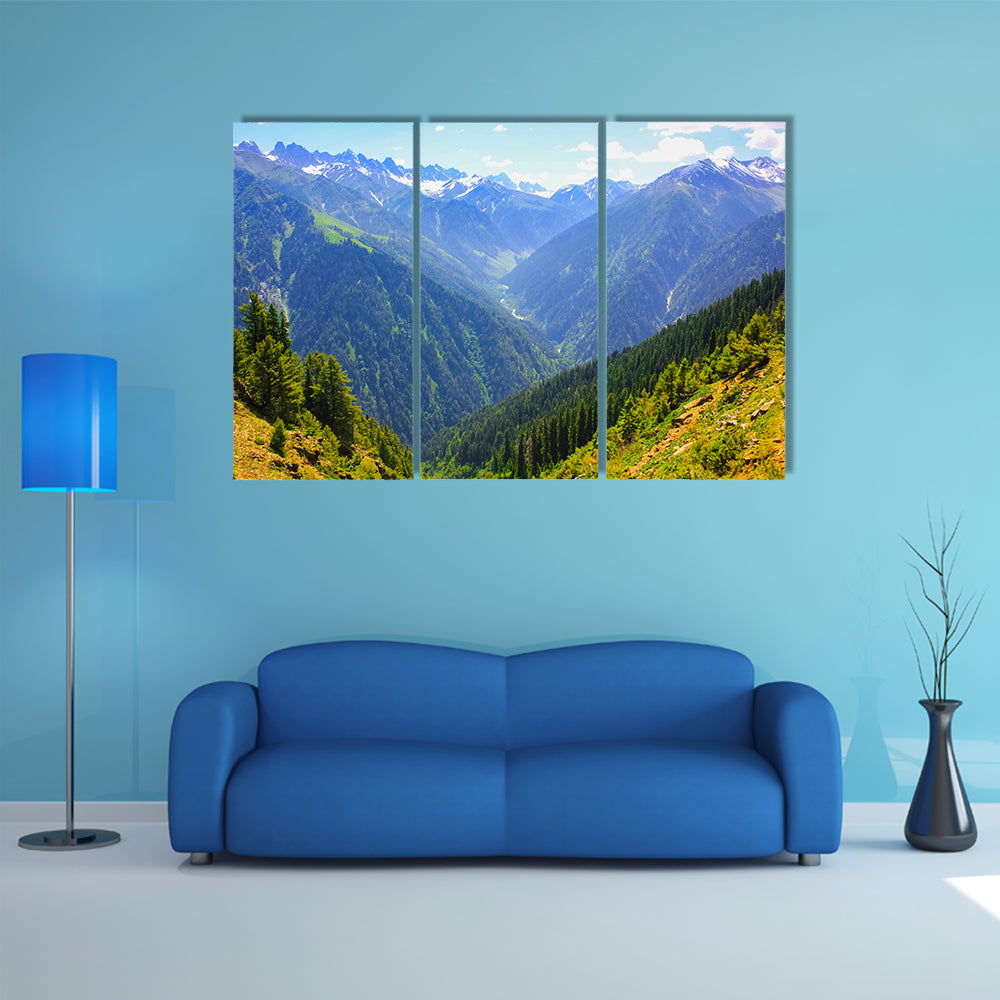 beautiful view of mountain valley covered pine forest multi panel canvas wall art