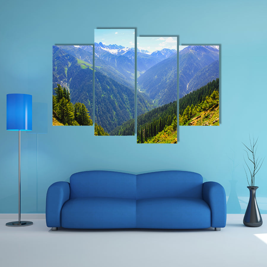 beautiful view of mountain valley covered pine forest multi panel canvas wall art