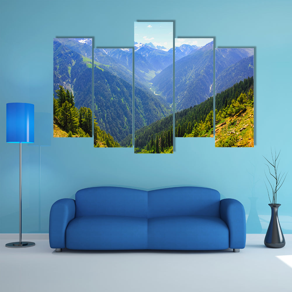 beautiful view of mountain valley covered pine forest multi panel canvas wall art