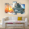 Sunlight breaks through the pine trees in winter. Multi panel canvas wall art