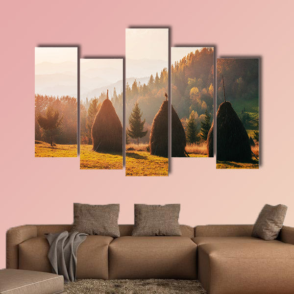 Traditional hay stacks, typical rural scene. Carpathian. Ukraine, Europe.