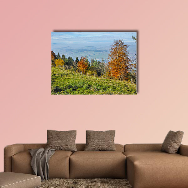 Green meadows above Lake Lucerne, near mount Rigi, Alps, Switzerland wall art