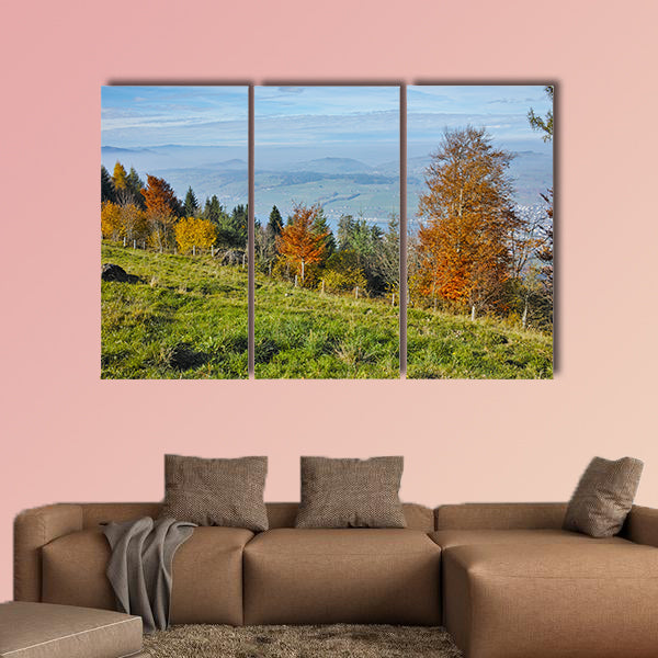 Green meadows above Lake Lucerne, near mount Rigi, Alps, Switzerland wall art