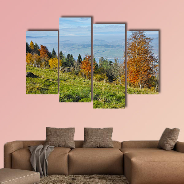 Green meadows above Lake Lucerne, near mount Rigi, Alps, Switzerland wall art