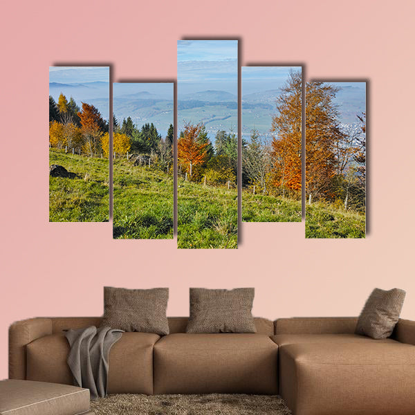 Green meadows above Lake Lucerne, near mount Rigi, Alps, Switzerland wall art
