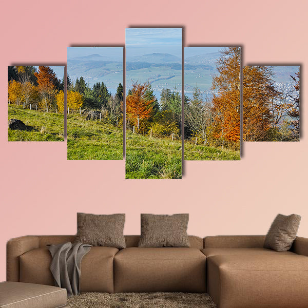 Green meadows above Lake Lucerne, near mount Rigi, Alps, Switzerland wall art