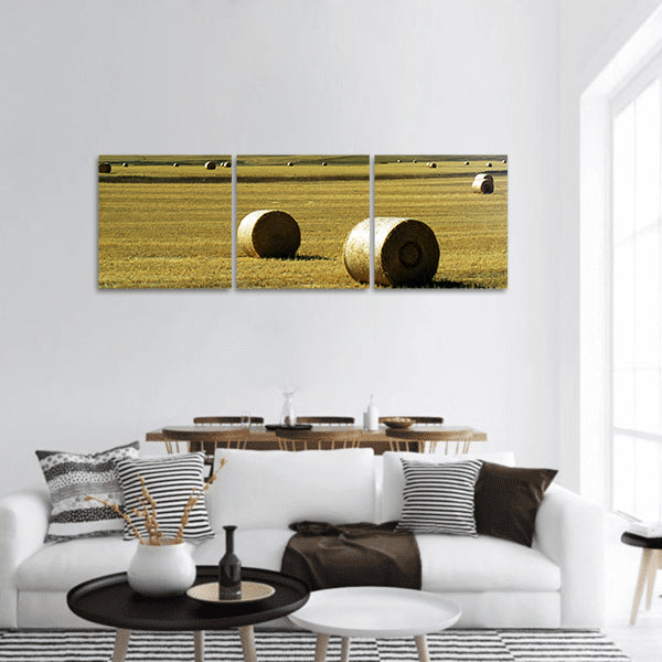 Hay bales on a field, with snow-covered mountains Panoramic Canvas Wall Art