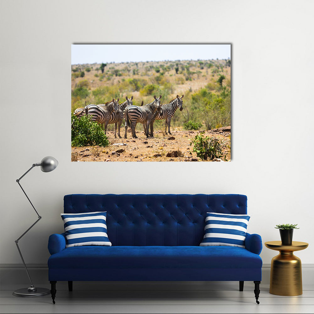 Wild zebras on savanna in Tsavo West National Park, Kenya, East Africa Multi panel canvas wall art