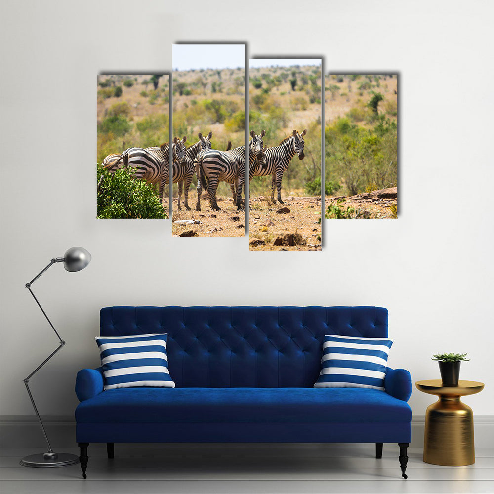Wild zebras on savanna in Tsavo West National Park, Kenya, East Africa Multi panel canvas wall art