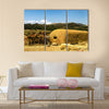 Ruins in Keskese archeological place in Eritrea multi panel canvas wall art