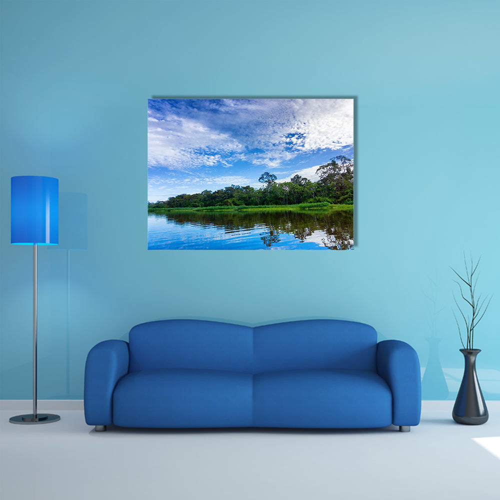 Beautiful landscape and reflection in a river in the Amazon Rain Forest near Iquitos, Peru Multi Panel Canvas Wall Art