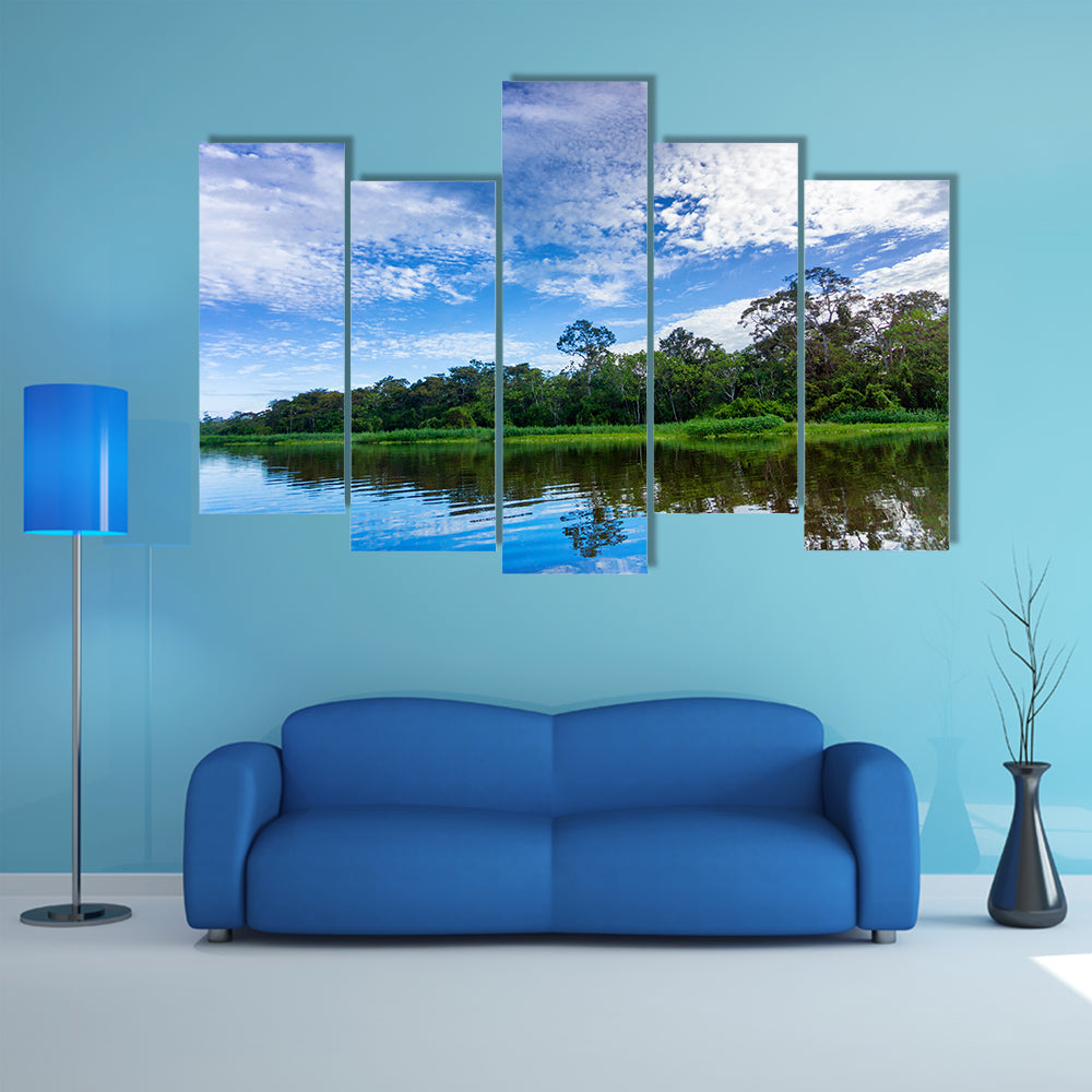 Beautiful landscape and reflection in a river in the Amazon Rain Forest near Iquitos, Peru Multi Panel Canvas Wall Art