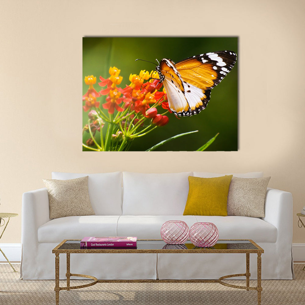 Colorful Butterfly Multi Panel Canvas Wall Art