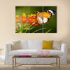 Colorful Butterfly Multi Panel Canvas Wall Art