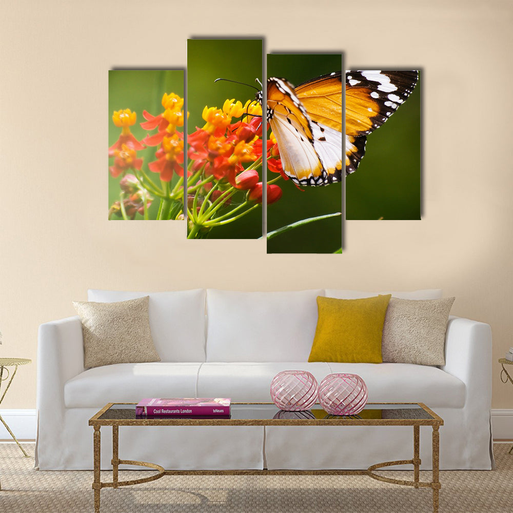 Colorful Butterfly Multi Panel Canvas Wall Art