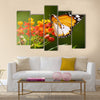 Colorful Butterfly Multi Panel Canvas Wall Art